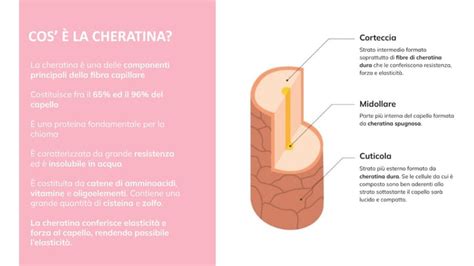 Infografica sui benefici della cheratina per i capelli