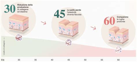 Infografica sull'invecchiamento cutaneo e la perdita di collagene