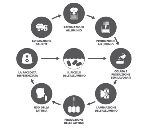 Schema che illustra la produzione di ROS durante l'esercizio fisico