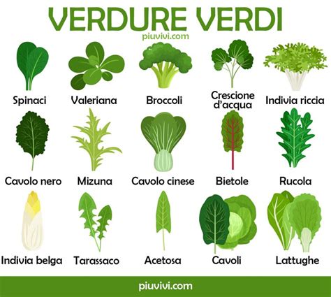 Varietà di verdure a foglia verde