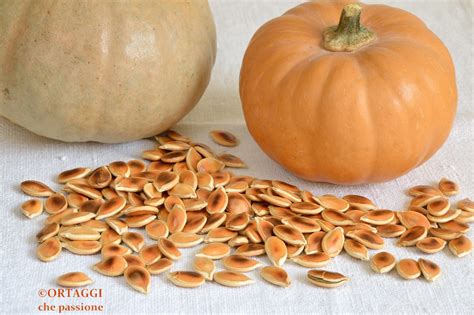 Semi di Zucca e Radice di Ortica