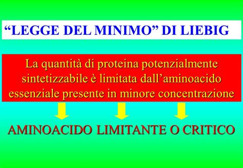 Rappresentazione della Legge del Minimo di Liebig applicata agli amminoacidi