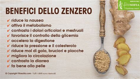 Illustrazione delle proprietà digestive dello zenzero