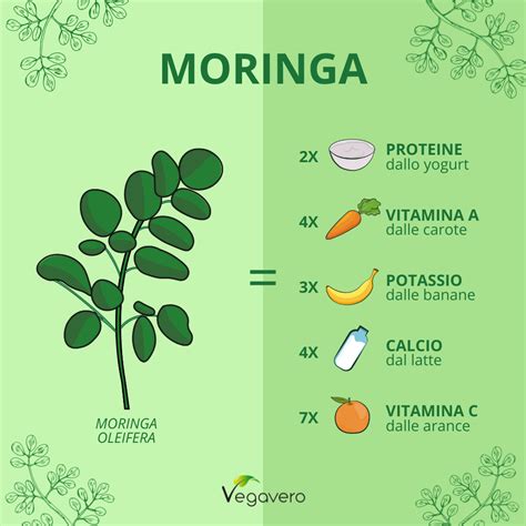 Infografica sui nutrienti della Moringa rispetto ad altri alimenti