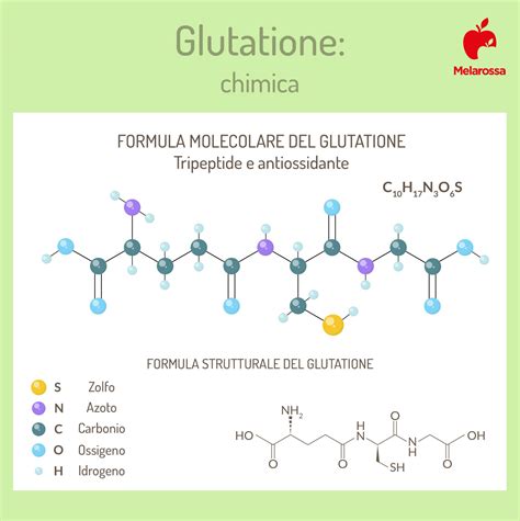 Meccanismo d'azione dei radicali liberi e del glutatione