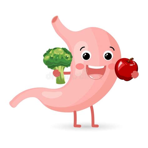 Illustrazione di un bambino sano con un sistema digestivo equilibrato