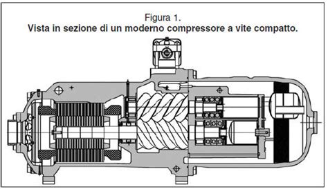 Schema di funzionamento di un compressore a vite