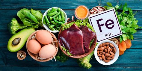 Schema che illustra l'importanza del ferro nella dieta del cane