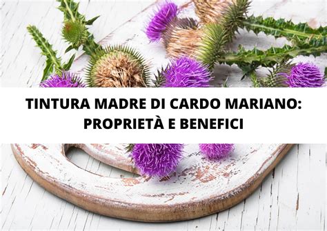 Schema che illustra il meccanismo d'azione del cardo mariano contro le cellule tumorali