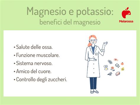 Infografica che mostra l'interazione tra magnesio e potassio nel corpo umano