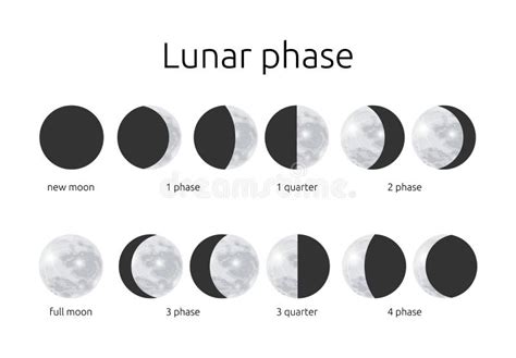 Illustrazione delle fasi lunari e del personaggio Snoopy