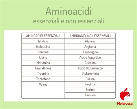 Schema degli amminoacidi essenziali, non essenziali e condizionatamente essenziali