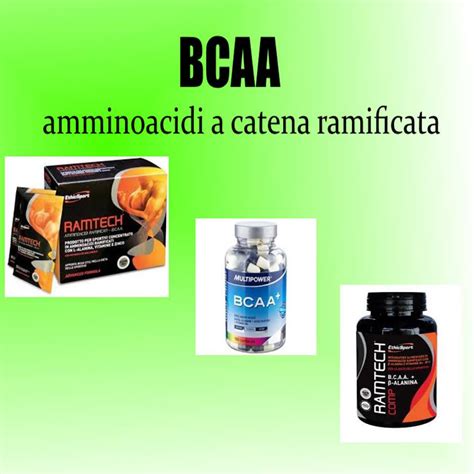 Amminoacidi e performance sportiva: focus su BCAA, glutammina e arginina