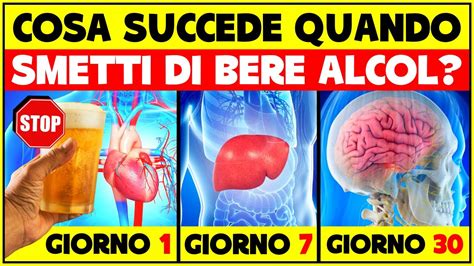 Schema dell'intestino umano con evidenziati i batteri benefici e i danni da alcol