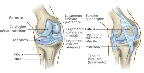 Applicazione di gel all'Arnica su un ginocchio