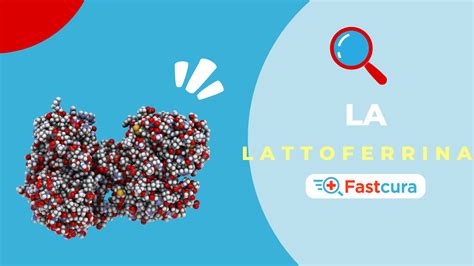 Struttura molecolare della lattoferrina