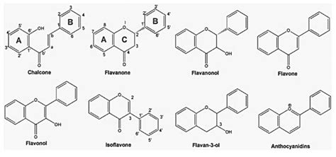 Struttura chimica dei flavonoidi