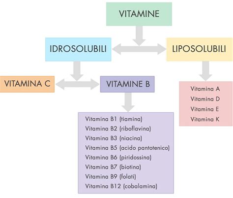 Schema delle vitamine idrosolubili e liposolubili