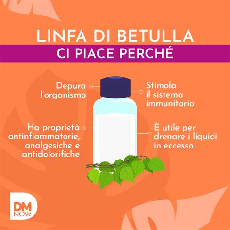 Infografica che illustra i benefici della linfa di betulla, sambuco e açai