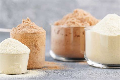 Confronto tra diverse tipologie di proteine in polvere