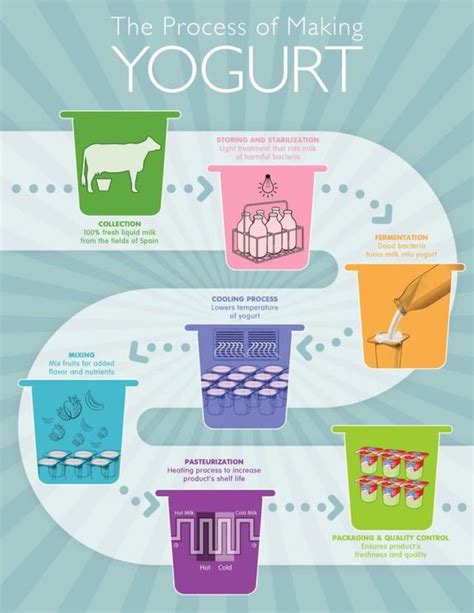 Schema del processo di produzione dello yogurt