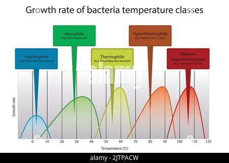 Grafico che mostra la crescita dei batteri lattici a diverse temperature