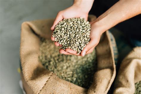 Caffè verde: chicchi e preparazioni