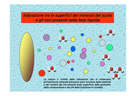 Interazione tra caffè e minerali