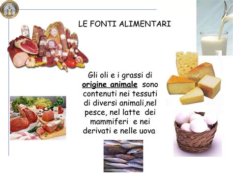 Fonti alimentari di L-Carnitina