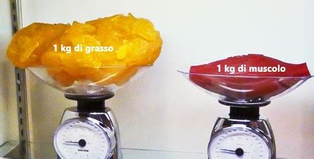 Grafico che mostra l'aumento della massa magra e la perdita di massa grassa con l'assunzione di creatina