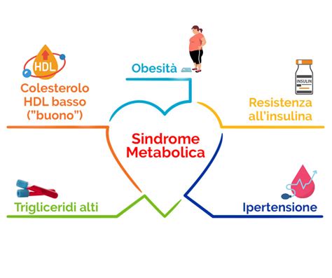 Schema dei fattori di rischio della Sindrome Metabolica