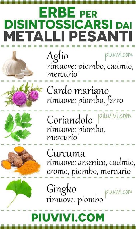 Infografica sui benefici delle piante officinali per il colesterolo