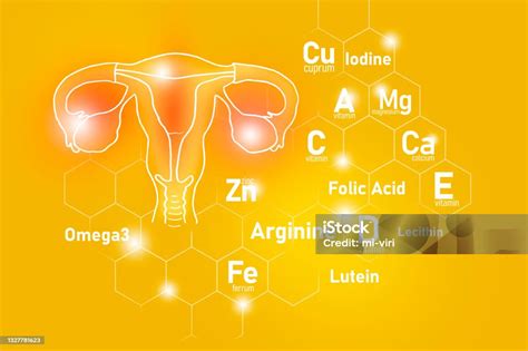 Schema dei nutrienti essenziali per la salute femminile