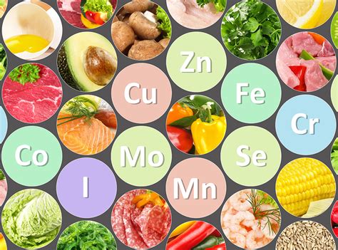 Infografica che illustra i principali superfood ricchi di oligoelementi