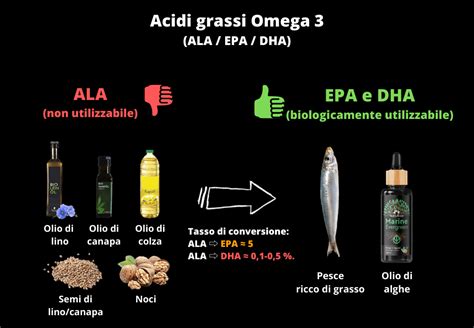 Schema della conversione di ALA in EPA e DHA