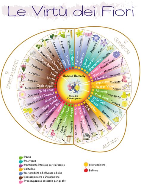 Schema delle allergie e dei relativi Fiori di Bach