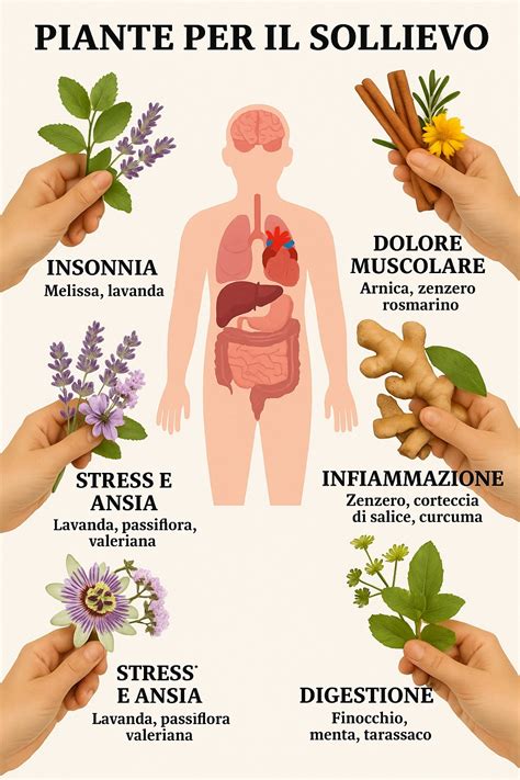 Piante medicinali utilizzate per l'ansia