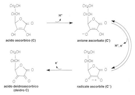 Schema di sintesi industriale dell'acido ascorbico