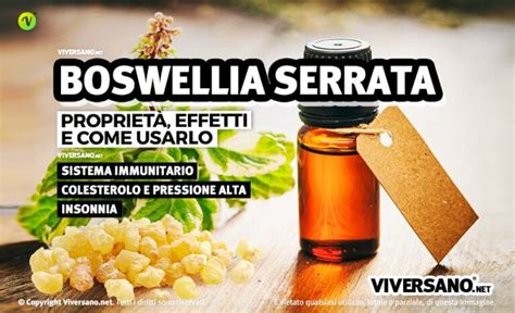 Schema delle proprietà antinfiammatorie della Boswellia