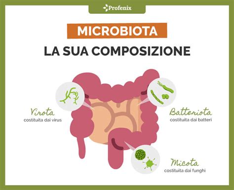 Infografica che illustra la composizione del microbiota intestinale e i suoi benefici.