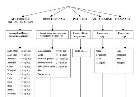 Schema dei tipi di micotossine e dei loro effetti sulla salute