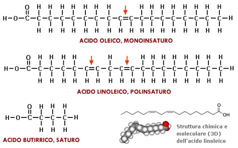 Schema degli acidi grassi monoinsaturi, polinsaturi e saturi
