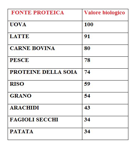 Grafico comparativo del valore biologico di diverse fonti proteiche