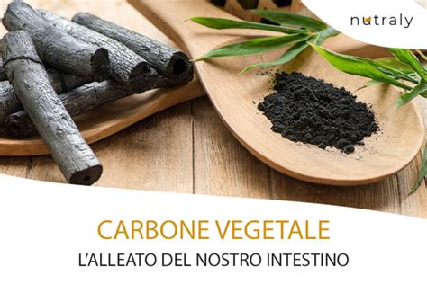 Infografica sui benefici del carbone vegetale per l'intestino
