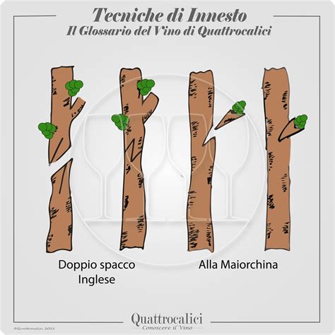 Schema di innesto a omega