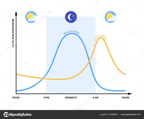 Grafico che mostra la riduzione del cortisolo con Ashwagandha