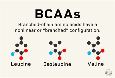 Infographic comparing BCAA sources and benefits