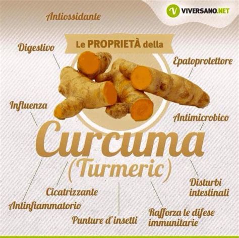 Schema delle proprietà della curcuma e della piperina