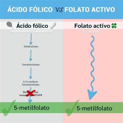 Tabella comparativa: Folato vs Acido Folico