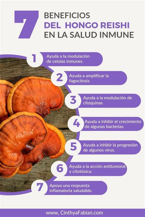 Infografica che mostra i benefici del Reishi per la salute umana